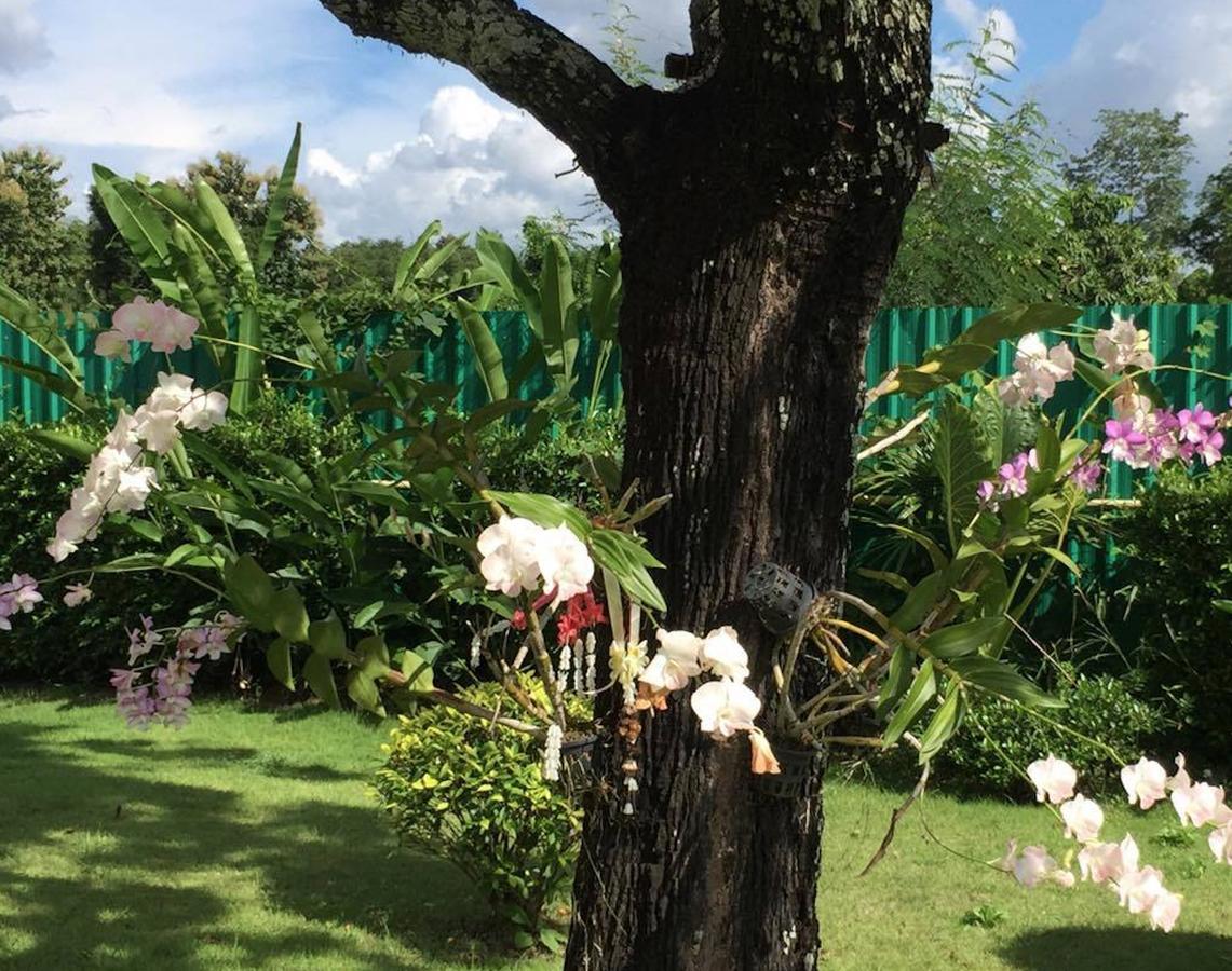 Maeping Mango Riverside Resort Kamphaeng Phet Dış mekan fotoğraf